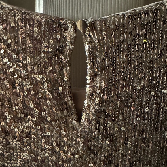 Cable & Gauge Silver Sequin Short Sleeve Top Size Medium - NWOT Never Worn! - Picture 6 of 7